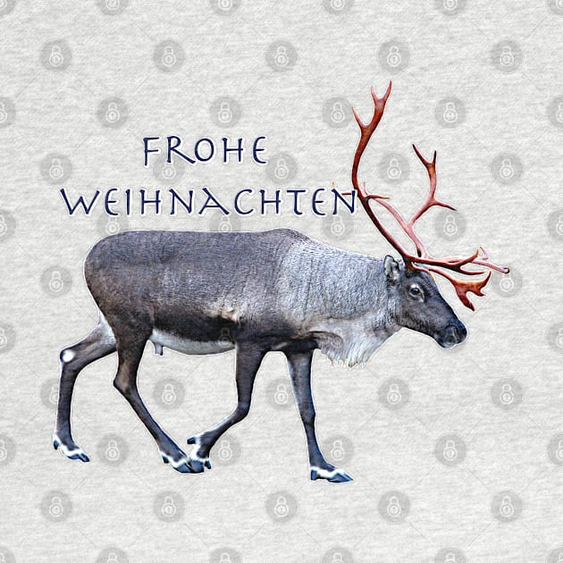 Frohe Weihnachten by FotoJarmo